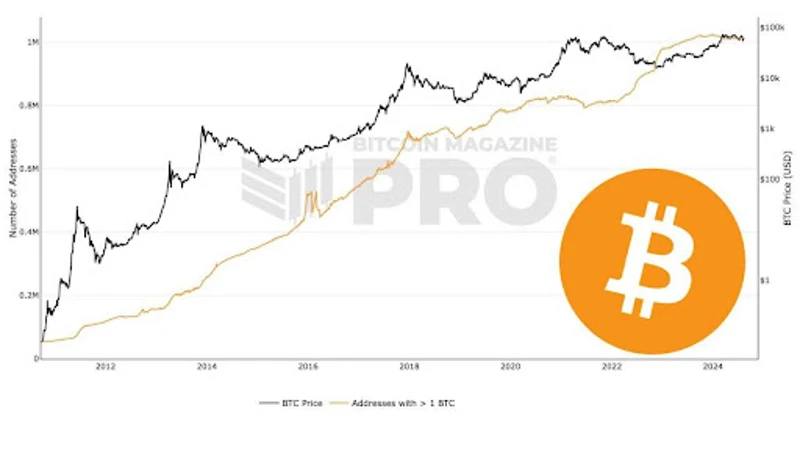 кількість біткоїн-адрес, на яких зберігається 1 BTC